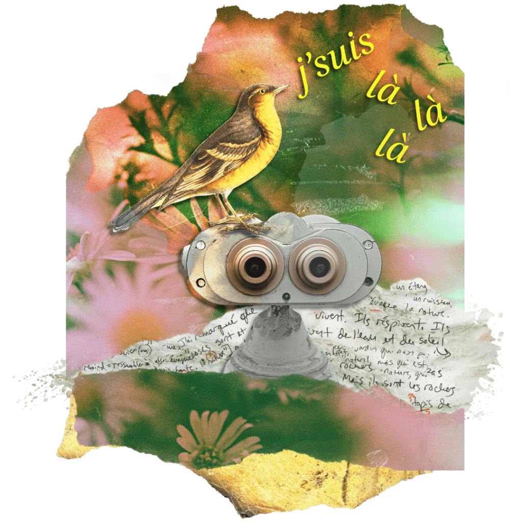 A robin basks in the sun, perched on observation binoculars resembling a surprised robot, chirping "j'suis là là là" In the background, gauzy layers of pink flowers, green haze, and a French journal entry about nature.